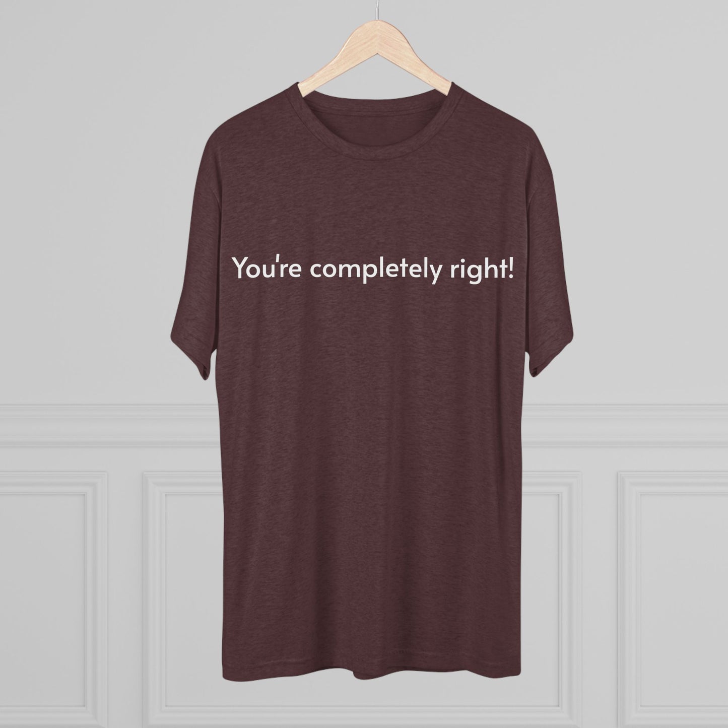 You're Completely Right Tee – Minimalist AI Statement T‑Shirt