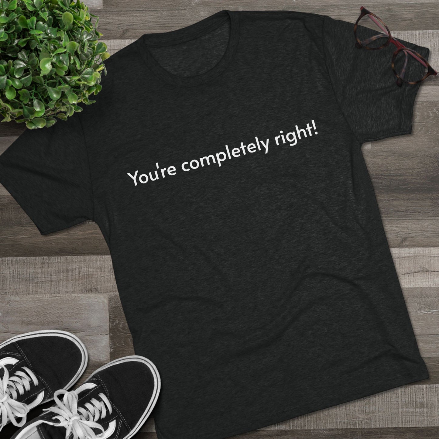 You're Completely Right Tee – Minimalist AI Statement T‑Shirt