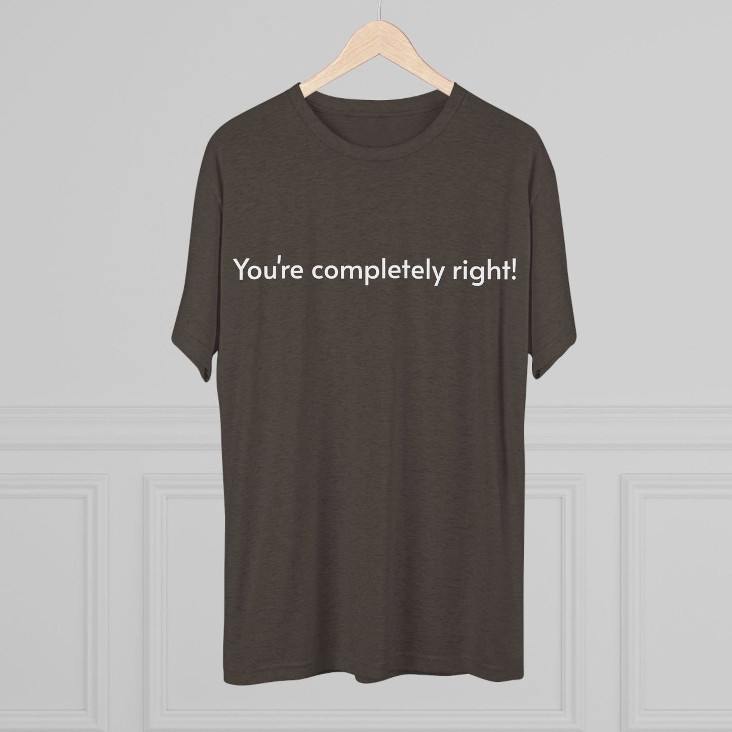 You're Completely Right Tee – Minimalist AI Statement T‑Shirt