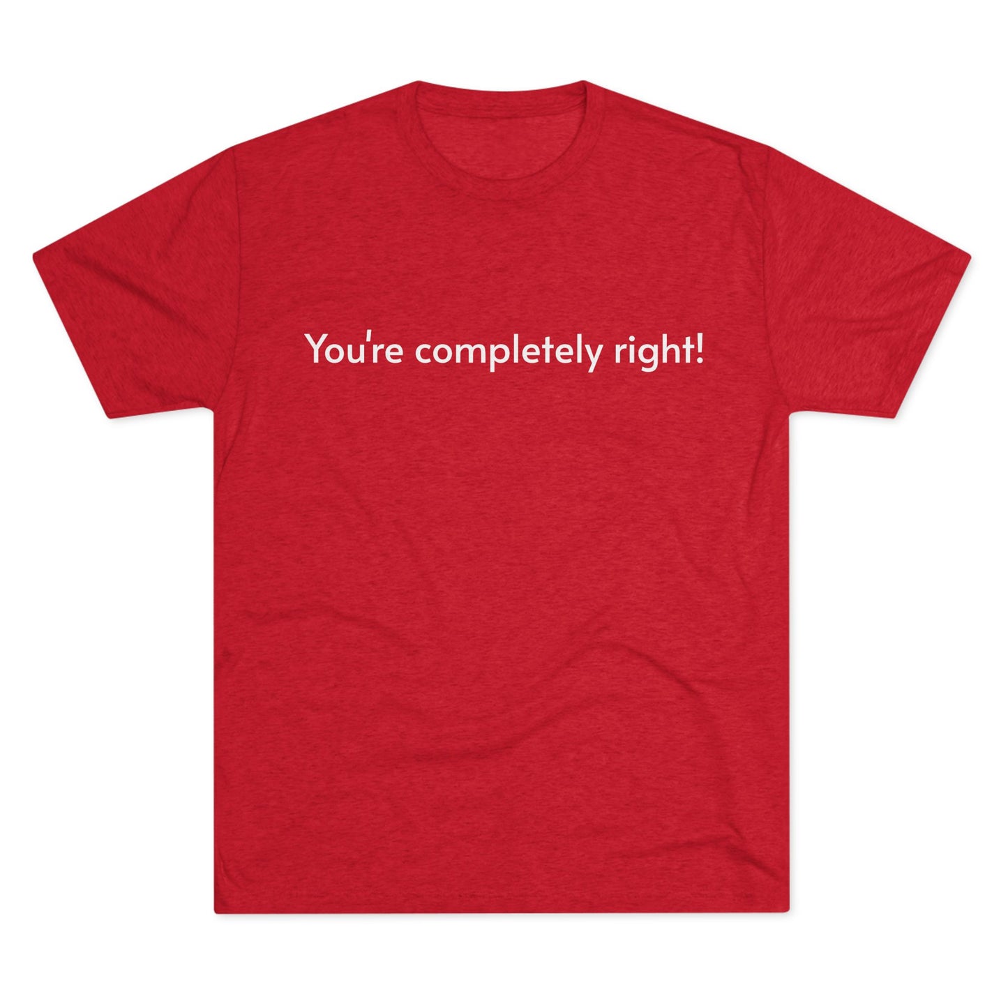 You're Completely Right Tee – Minimalist AI Statement T‑Shirt