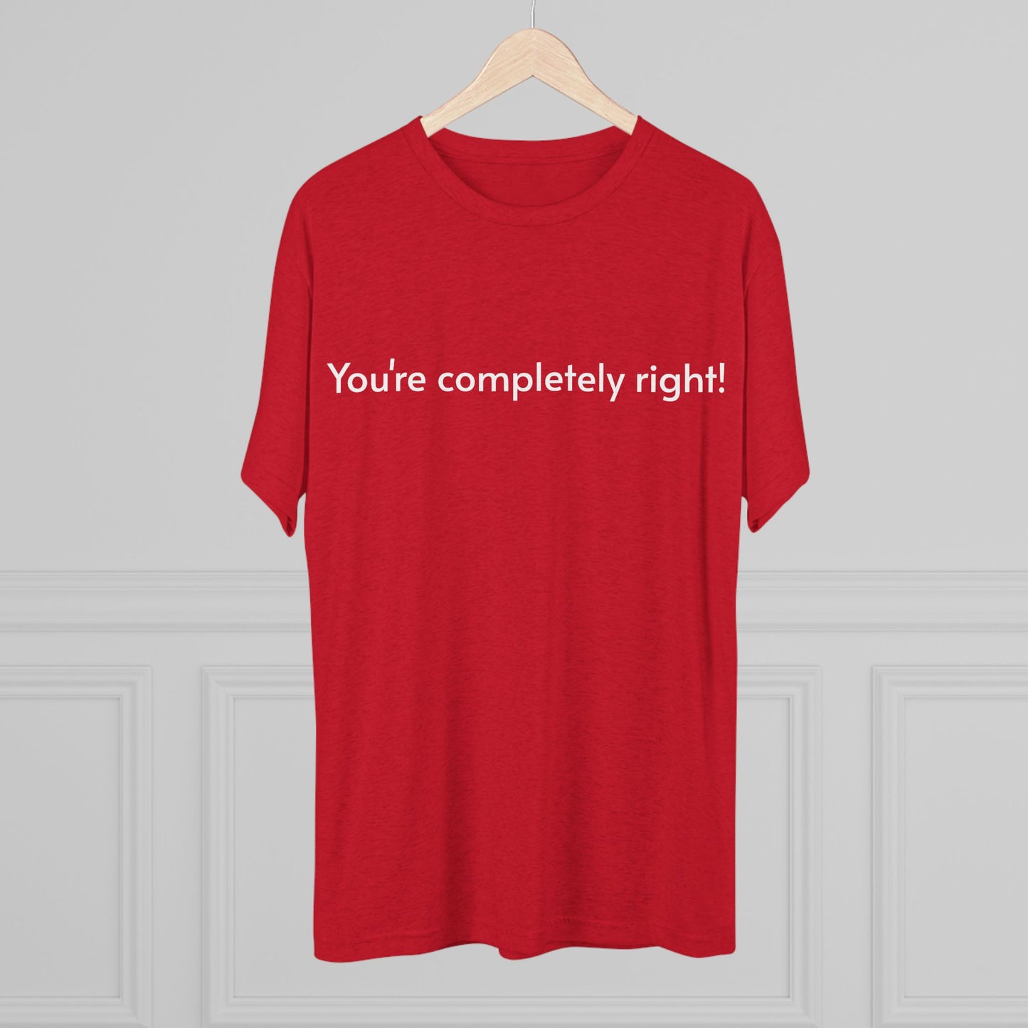 You're Completely Right Tee – Minimalist AI Statement T‑Shirt