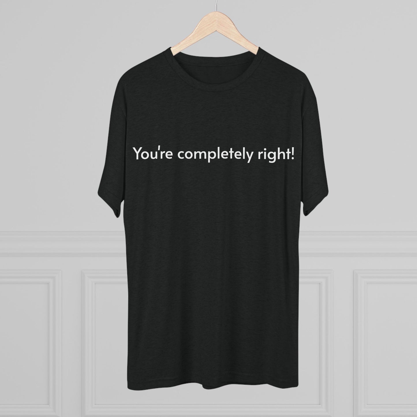 You're Completely Right Tee – Minimalist AI Statement T‑Shirt