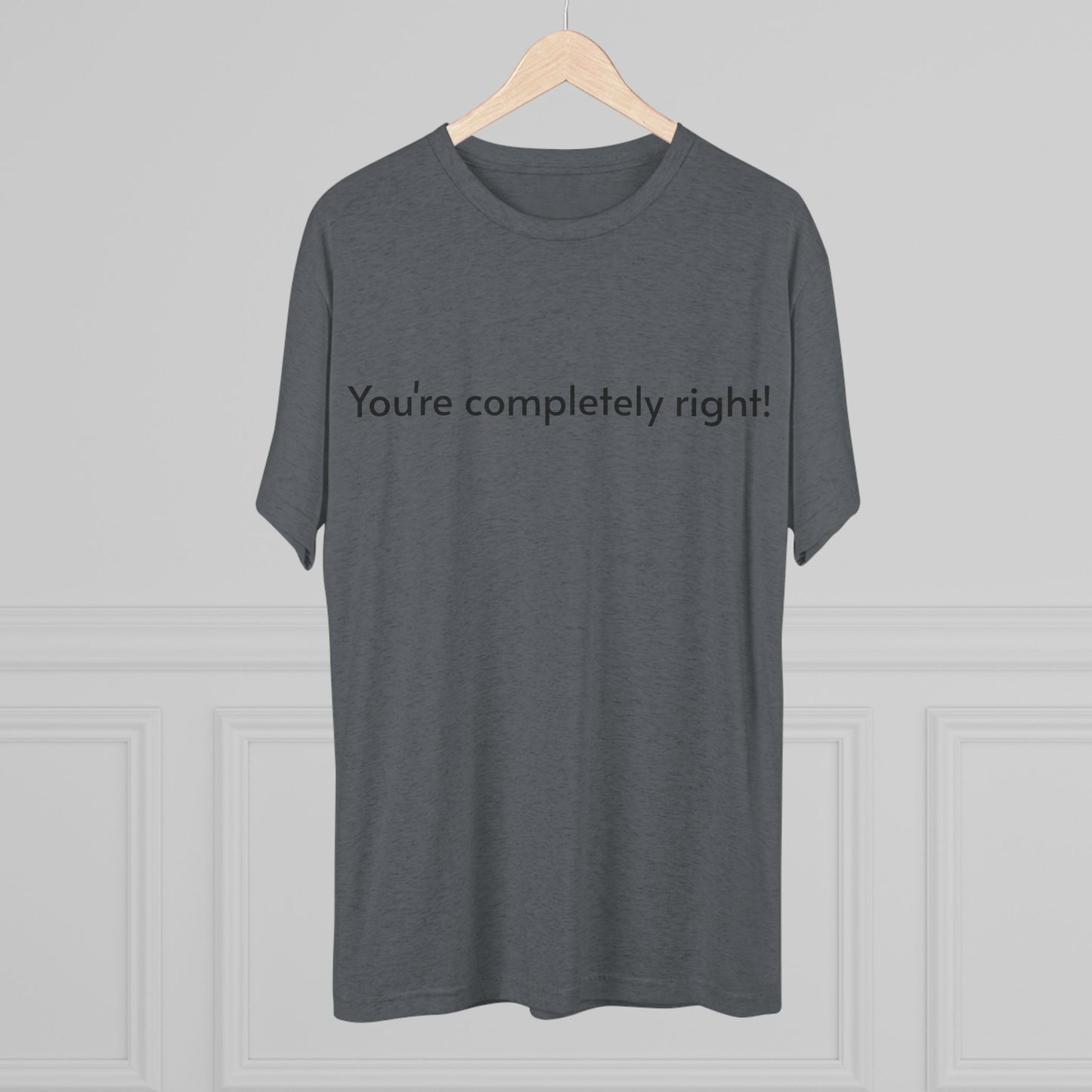 You're Completely Right Tee – Minimalist AI Statement T‑Shirt