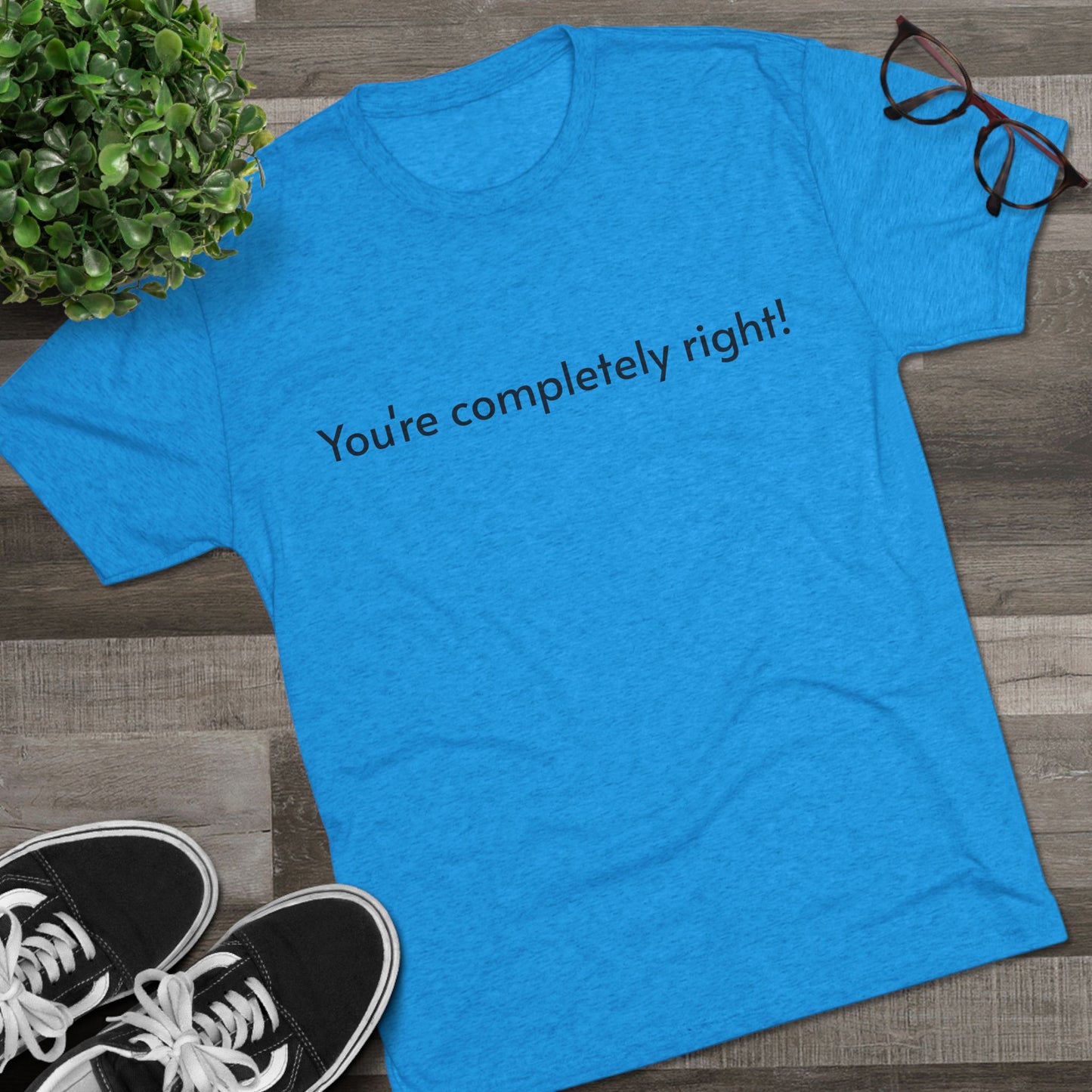 You're Completely Right Tee – Minimalist AI Statement T‑Shirt