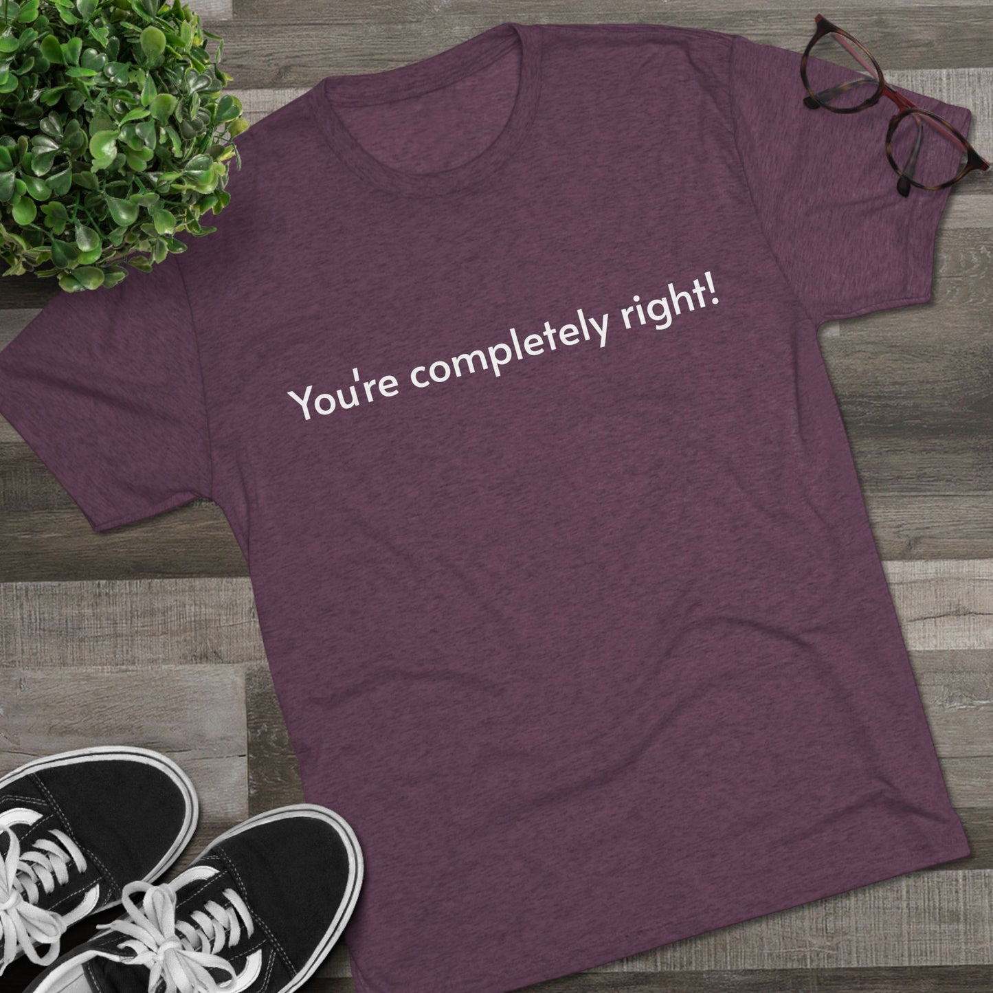 You're Completely Right Tee – Minimalist AI Statement T‑Shirt