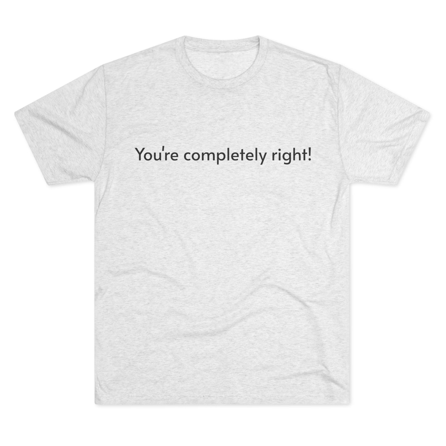 You're Completely Right Tee – Minimalist AI Statement T‑Shirt