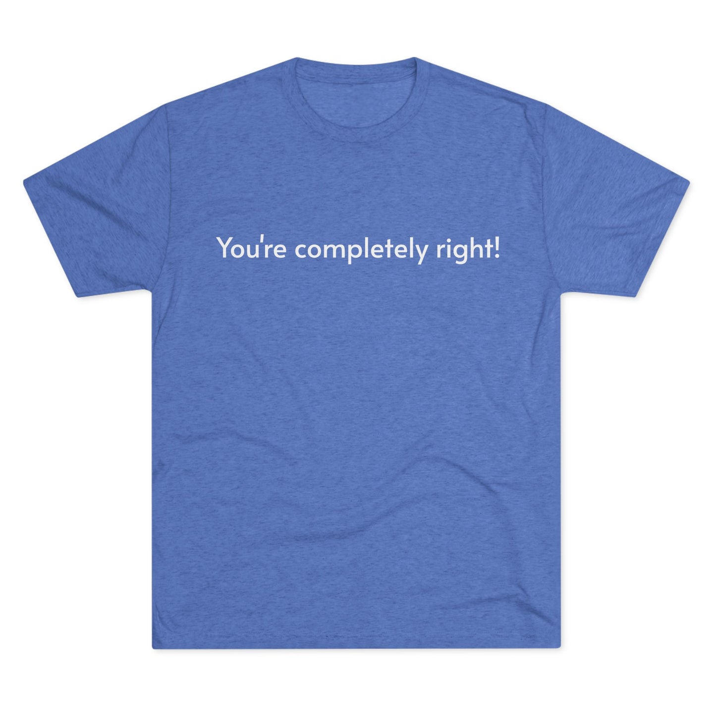 You're Completely Right Tee – Minimalist AI Statement T‑Shirt