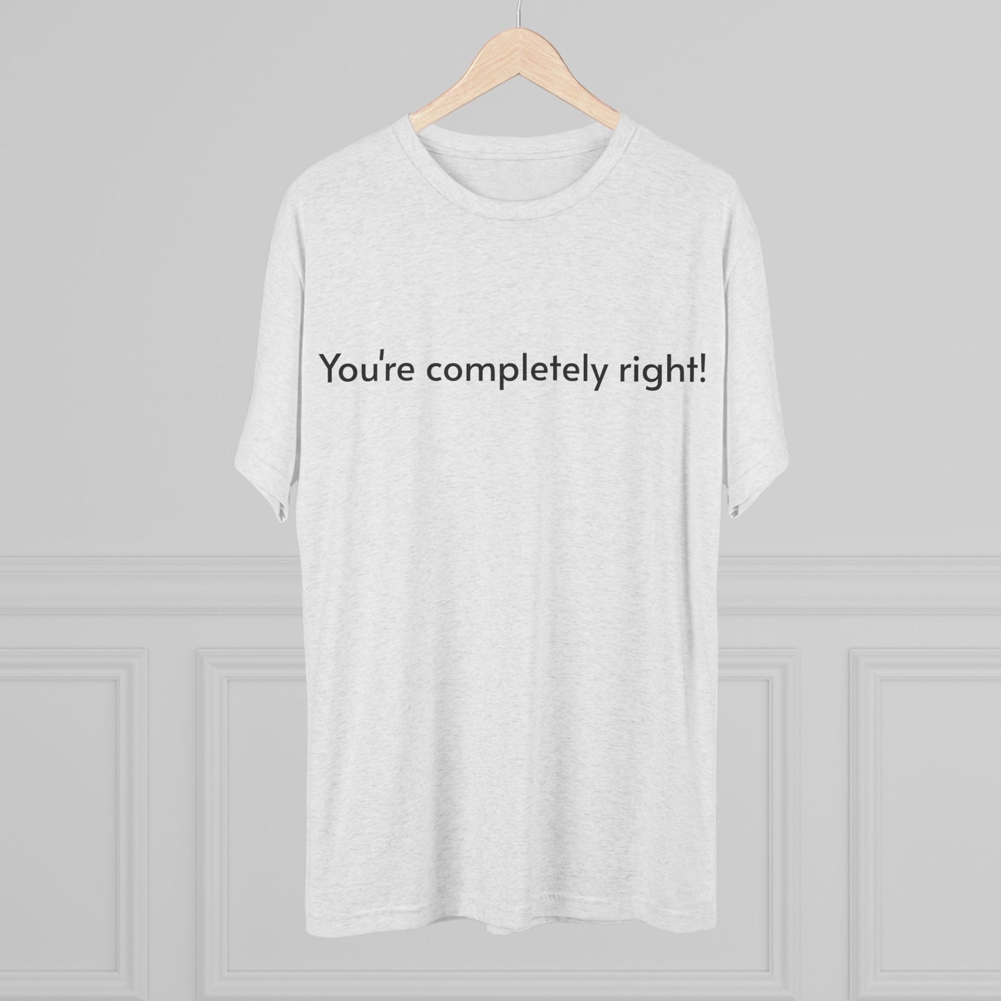 You're Completely Right Tee – Minimalist AI Statement T‑Shirt