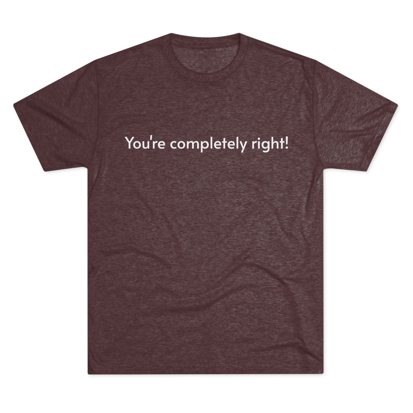 You're Completely Right Tee – Minimalist AI Statement T‑Shirt