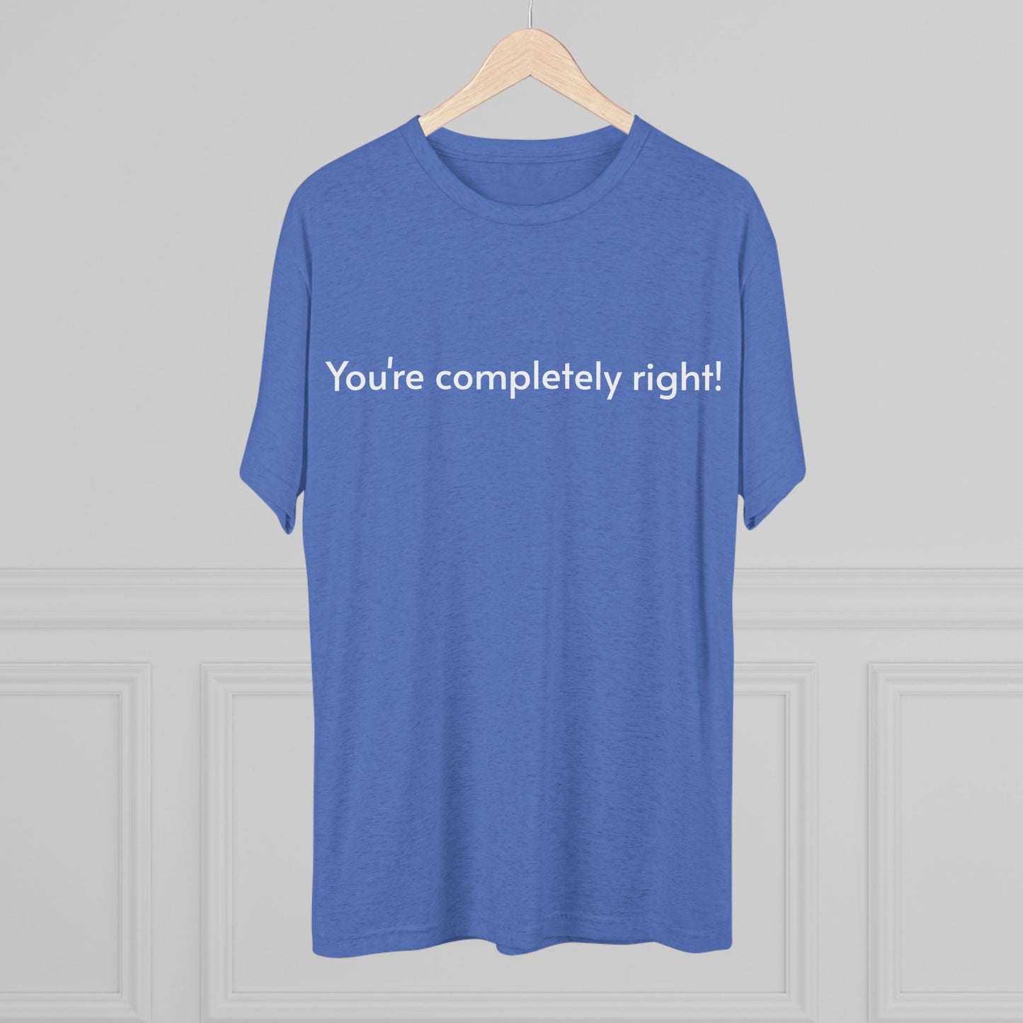 You're Completely Right Tee – Minimalist AI Statement T‑Shirt