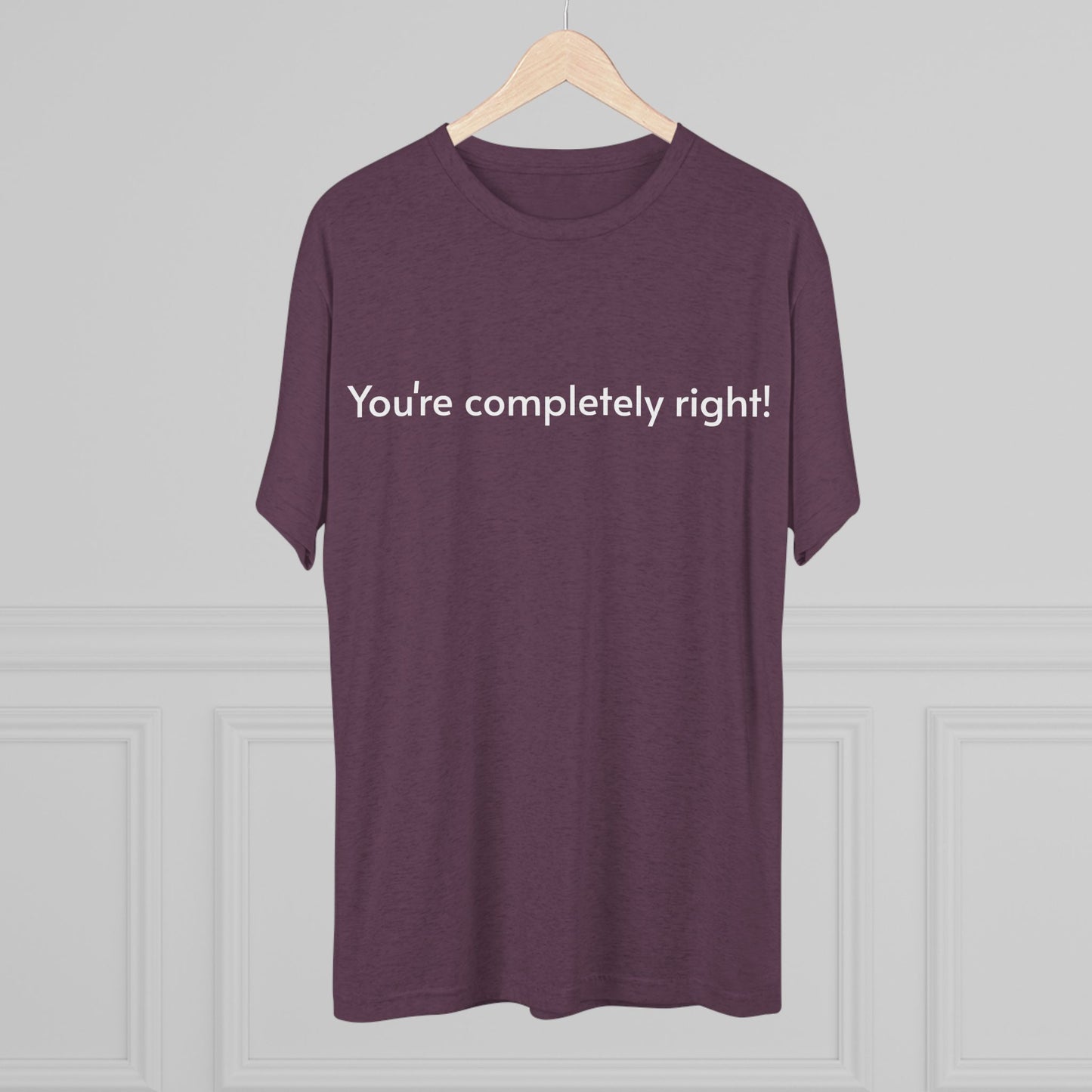 You're Completely Right Tee – Minimalist AI Statement T‑Shirt