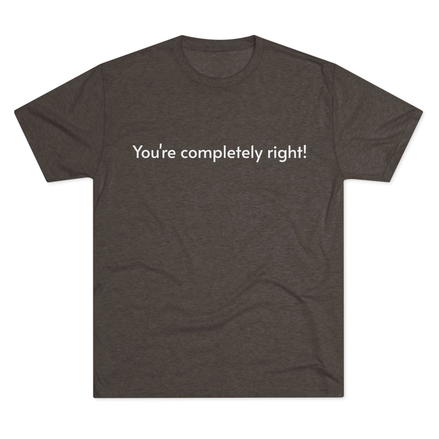 You're Completely Right Tee – Minimalist AI Statement T‑Shirt
