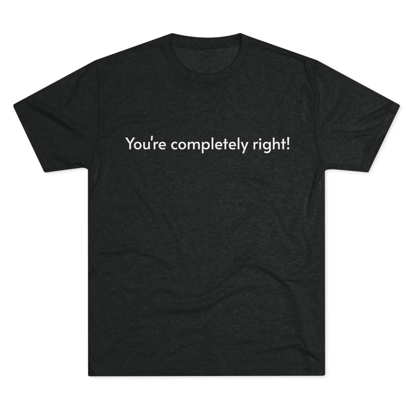 You're Completely Right Tee – Minimalist AI Statement T‑Shirt