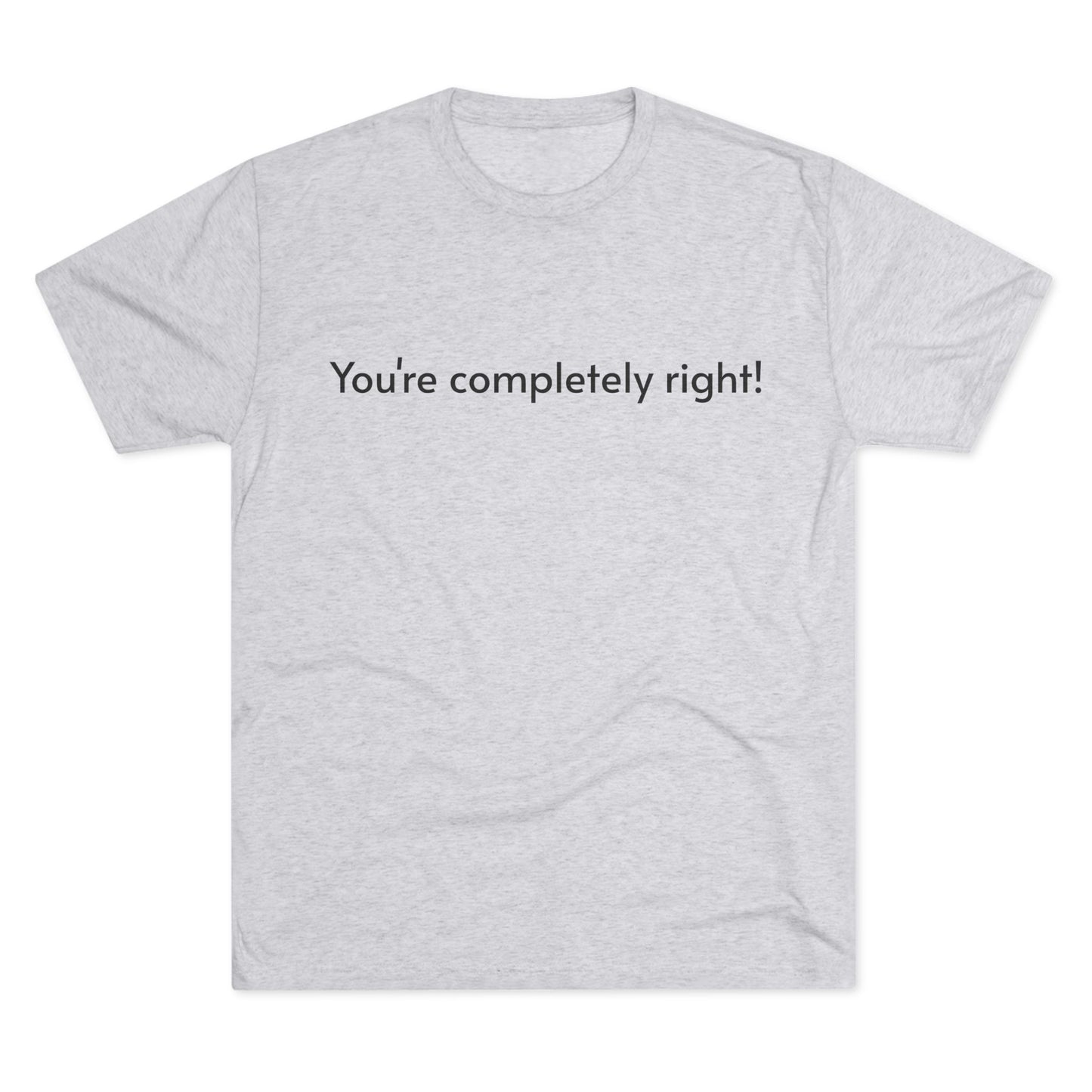 You're Completely Right Tee – Minimalist AI Statement T‑Shirt