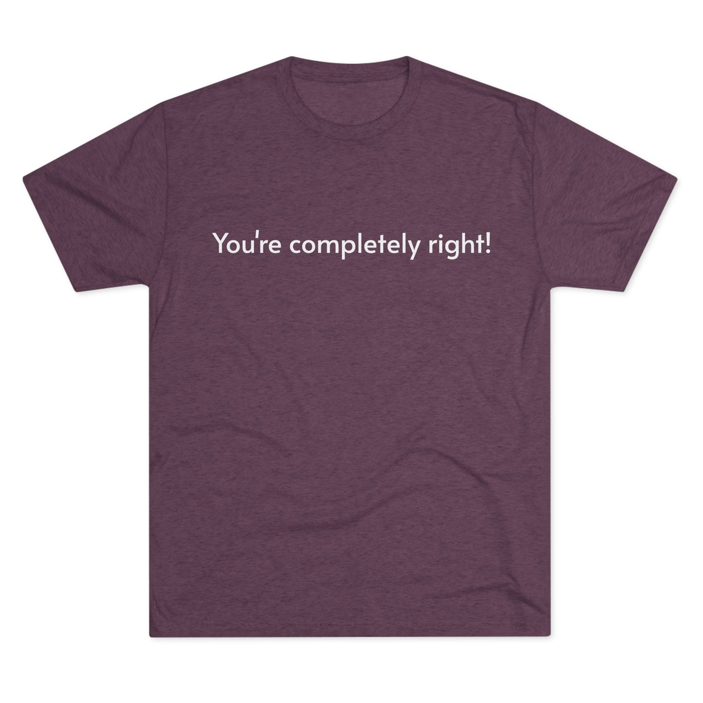 You're Completely Right Tee – Minimalist AI Statement T‑Shirt