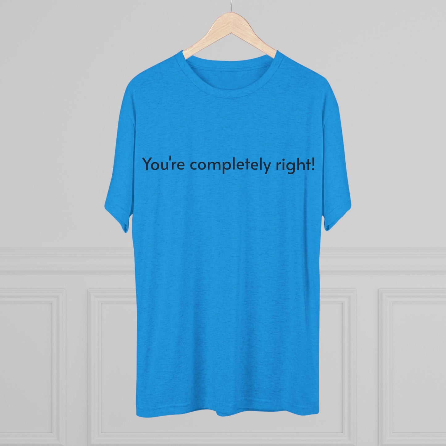 You're Completely Right Tee – Minimalist AI Statement T‑Shirt