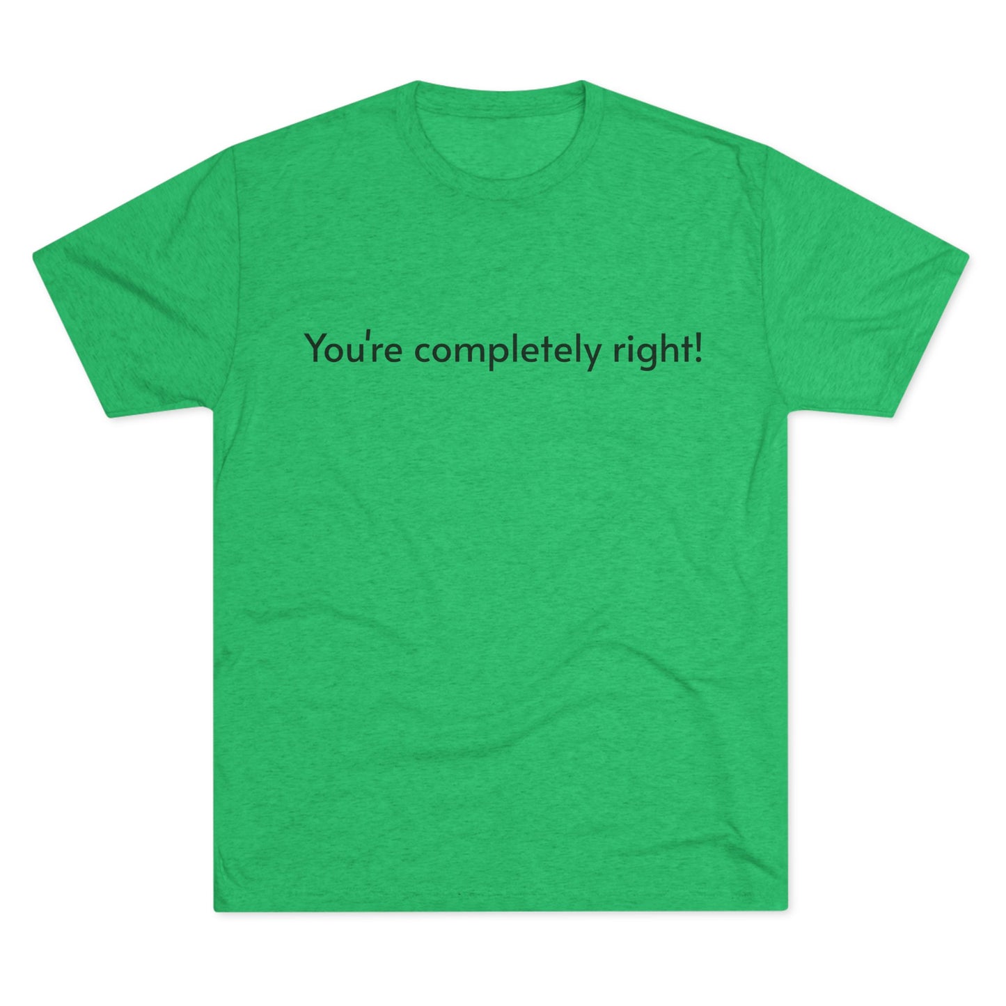 You're Completely Right Tee – Minimalist AI Statement T‑Shirt