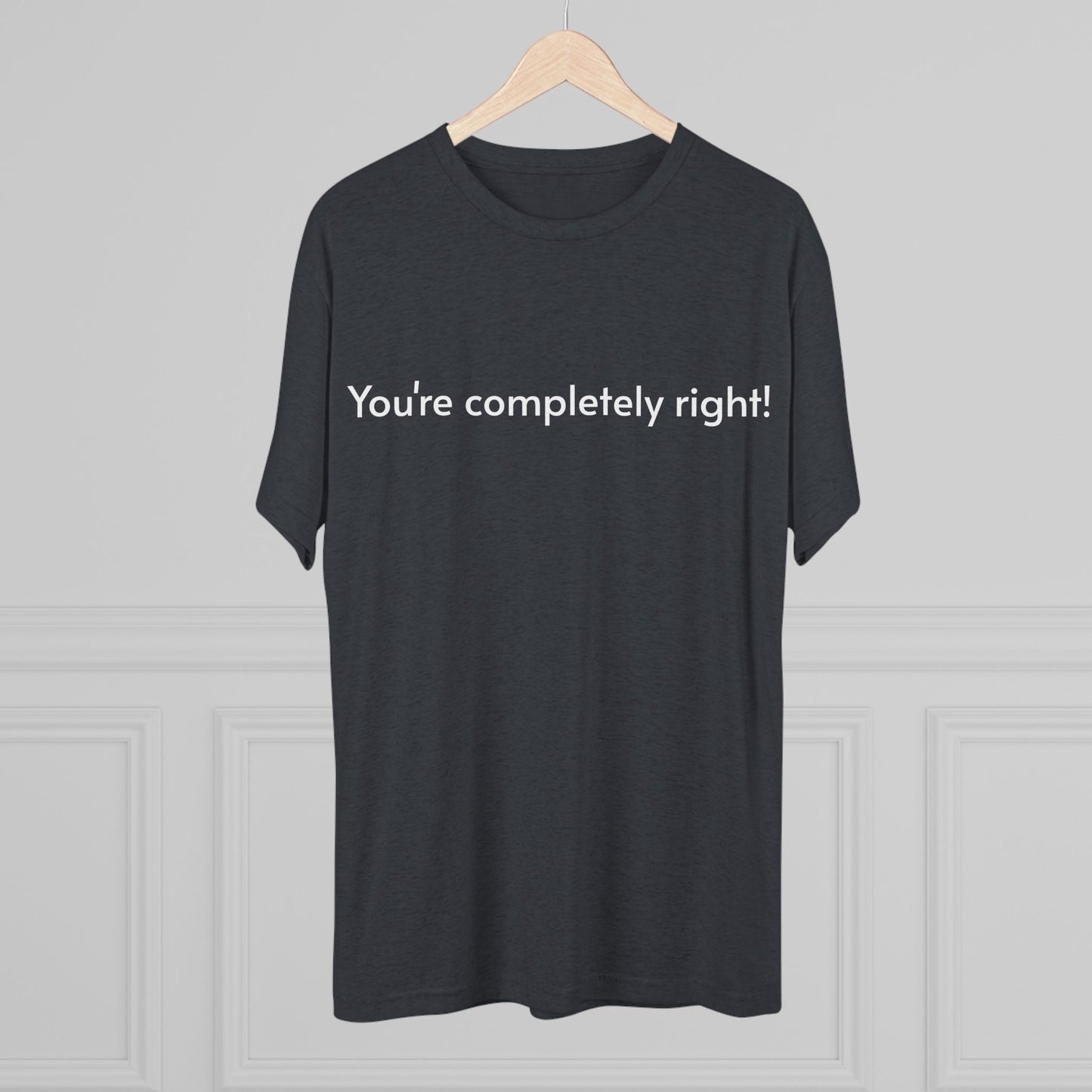 You're Completely Right Tee – Minimalist AI Statement T‑Shirt