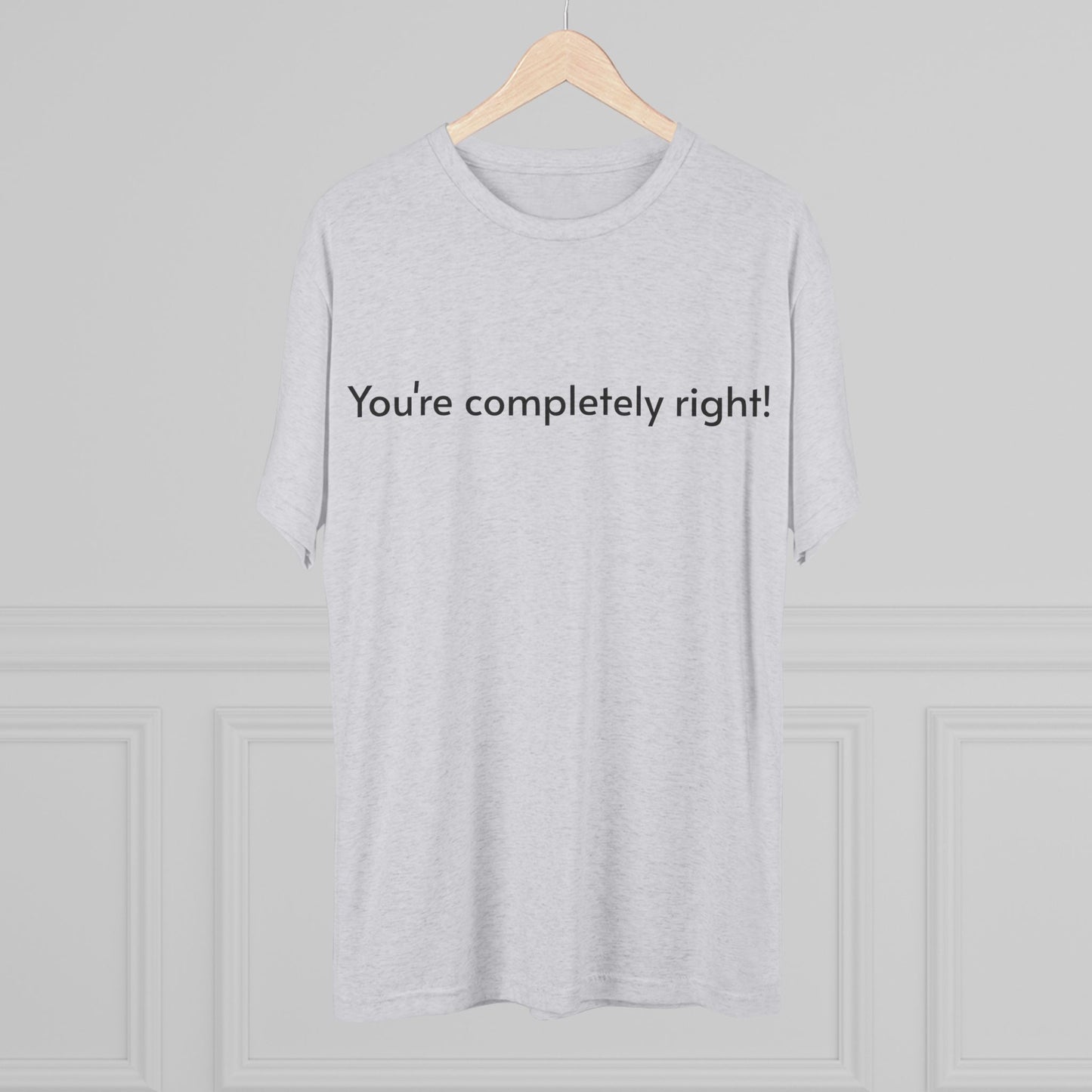 You're Completely Right Tee – Minimalist AI Statement T‑Shirt