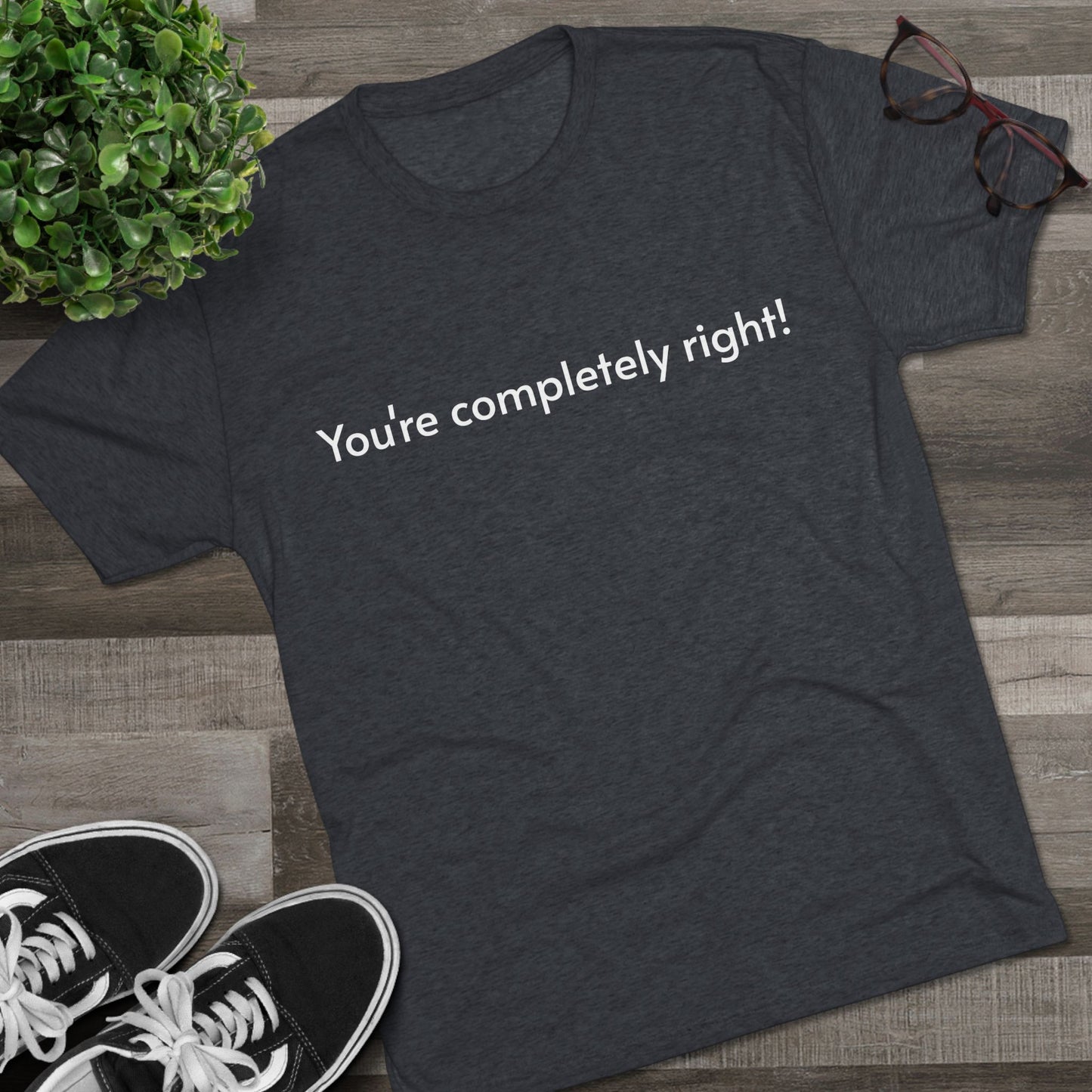 You're Completely Right Tee – Minimalist AI Statement T‑Shirt