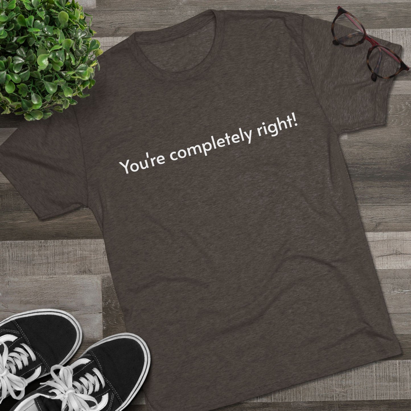 You're Completely Right Tee – Minimalist AI Statement T‑Shirt