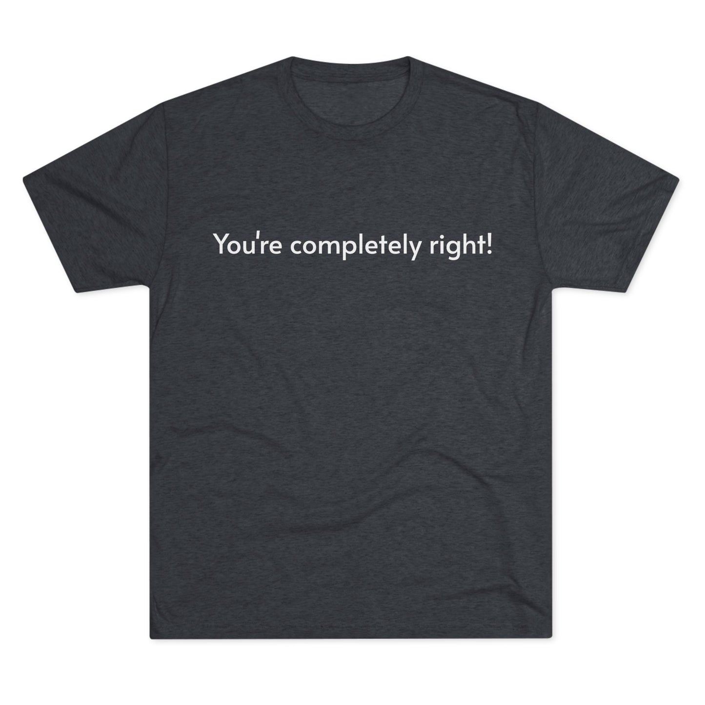 You're Completely Right Tee – Minimalist AI Statement T‑Shirt