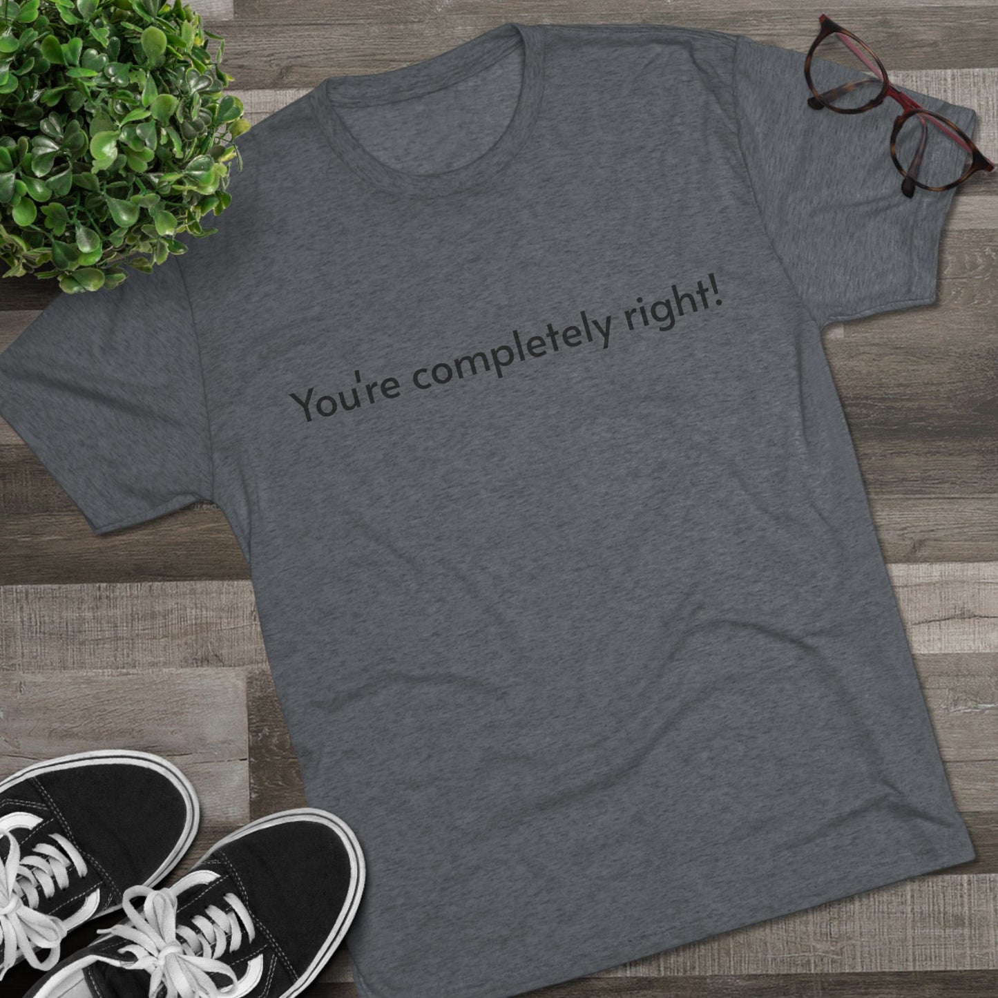 You're Completely Right Tee – Minimalist AI Statement T‑Shirt