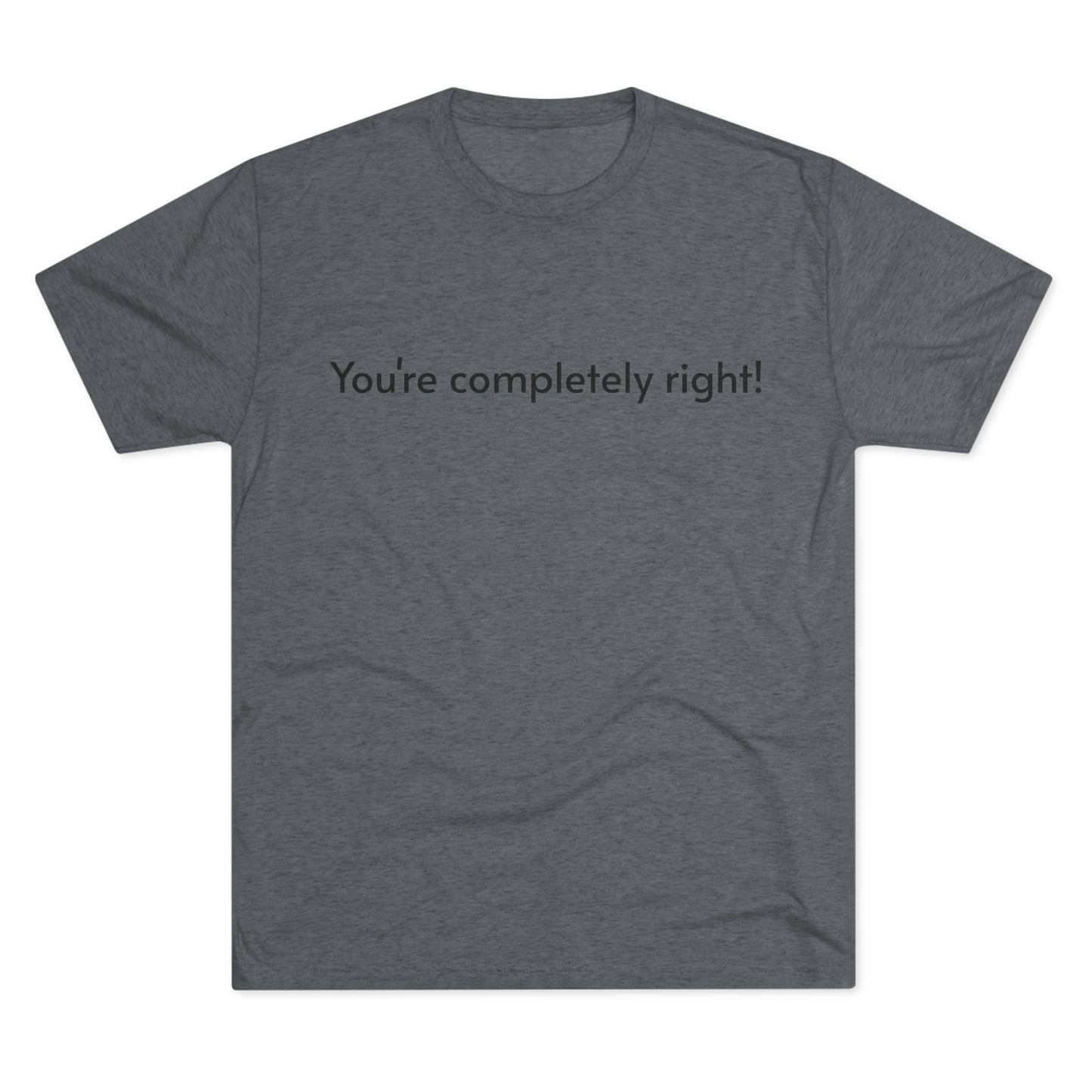 You're Completely Right Tee – Minimalist AI Statement T‑Shirt